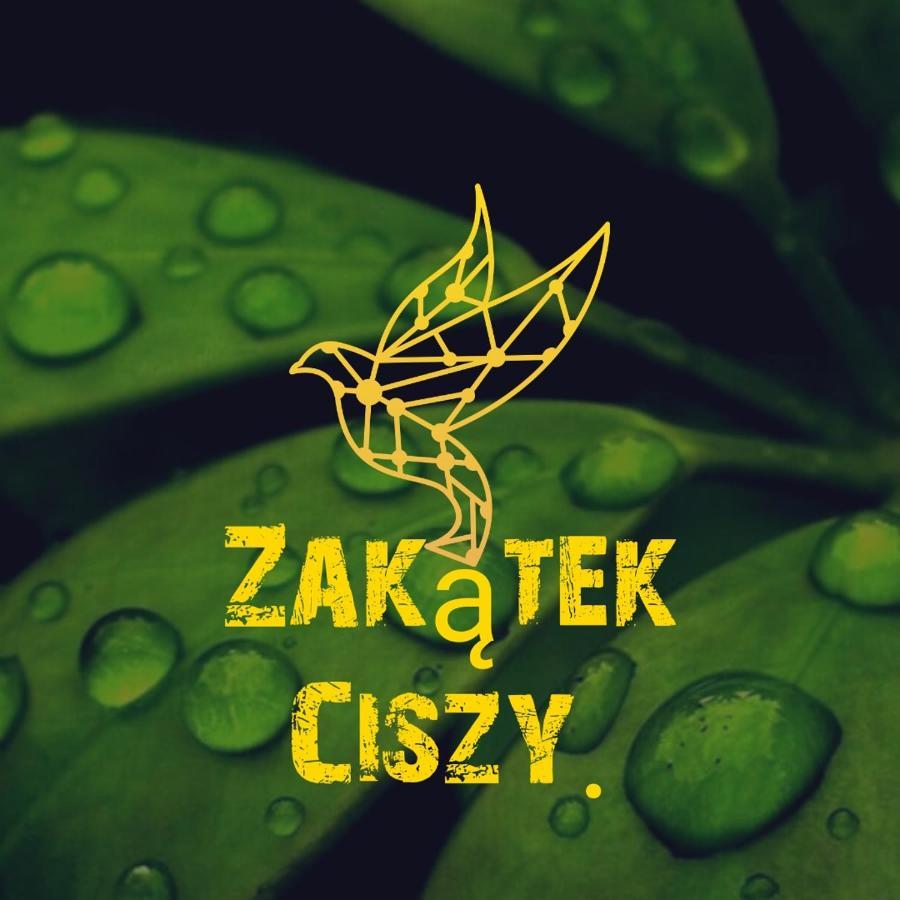 Sluchowo Zakatek Ciszy.ヴィラ エクステリア 写真